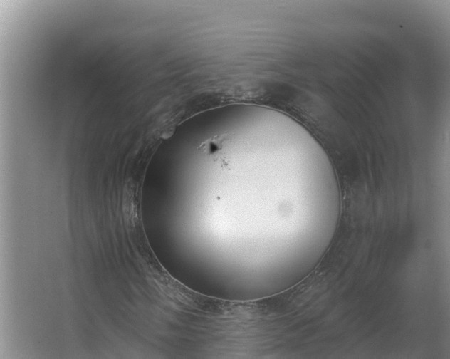 X0000064051058200602031617