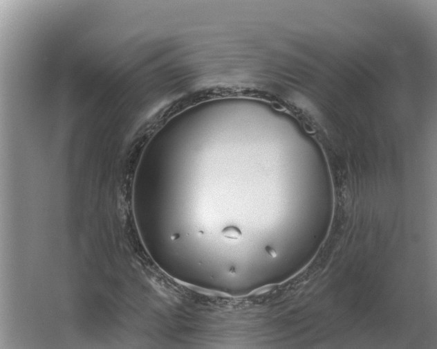 X0000064051064200602031617