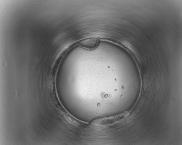 X0000064051067200602031617