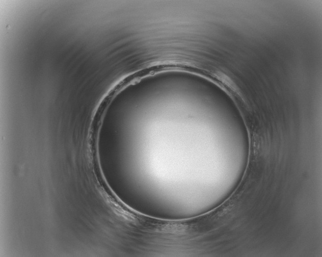 X0000064051068200602031617