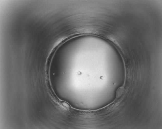 X0000064051071200602031617