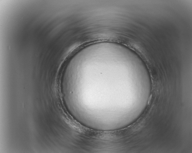 X0000064051074200602031617