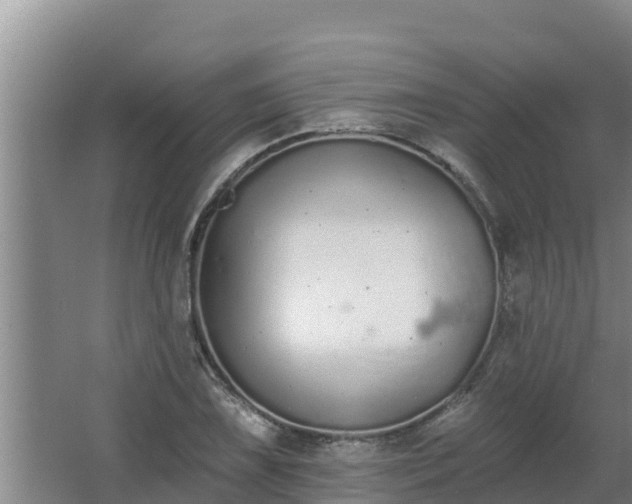 X0000064051075200602031617