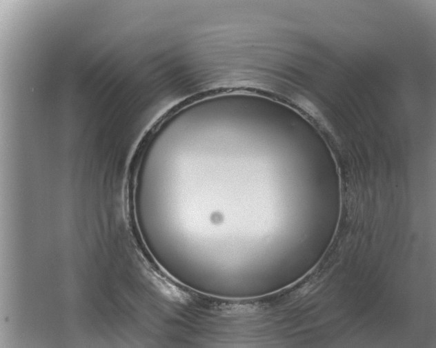 X0000064051076200602031617