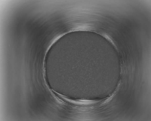 X0000064051077200602031617