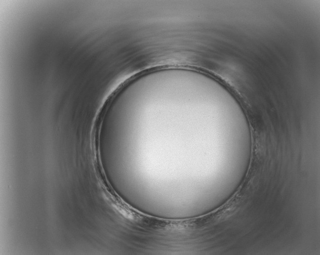 X0000064051078200602031617