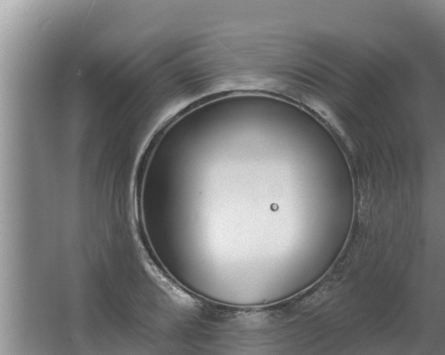 X0000064051080200602031617