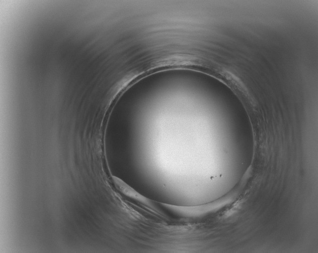 X0000064051081200602031617