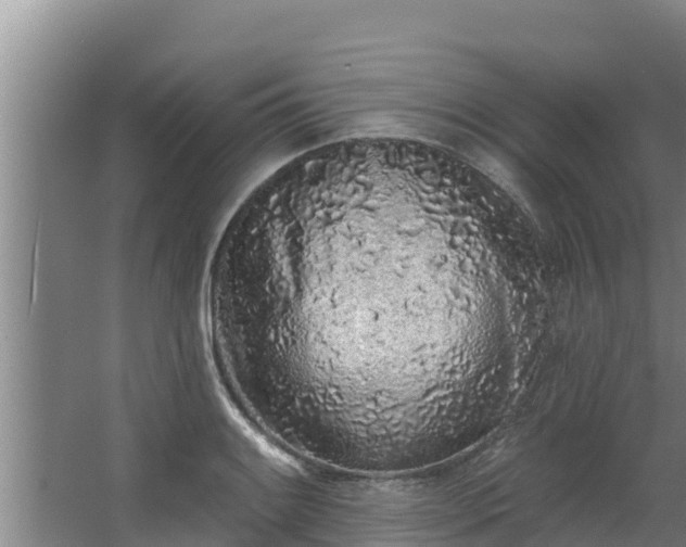 X0000064051084200602031617