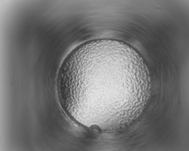 X0000064051086200602031617