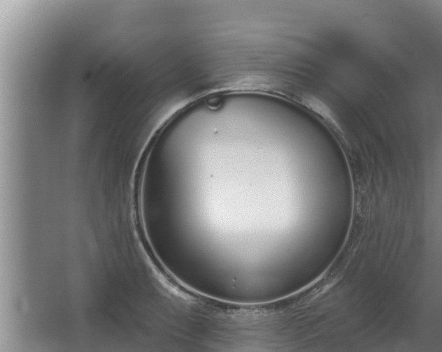 X0000064051087200602031617