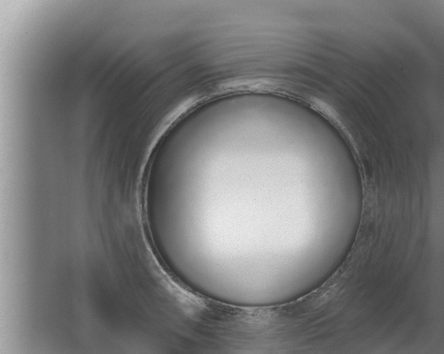 X0000064051090200602031617