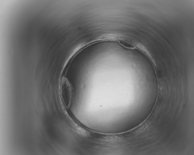 X0000064051091200602031617