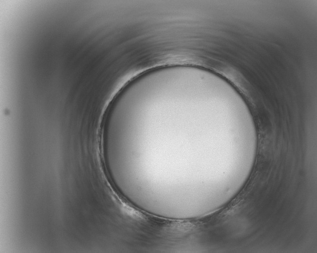 X0000064051094200602031617