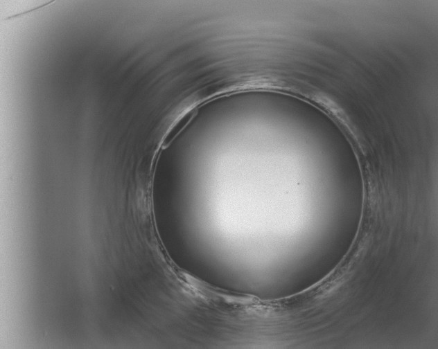 X0000064051097200602031617