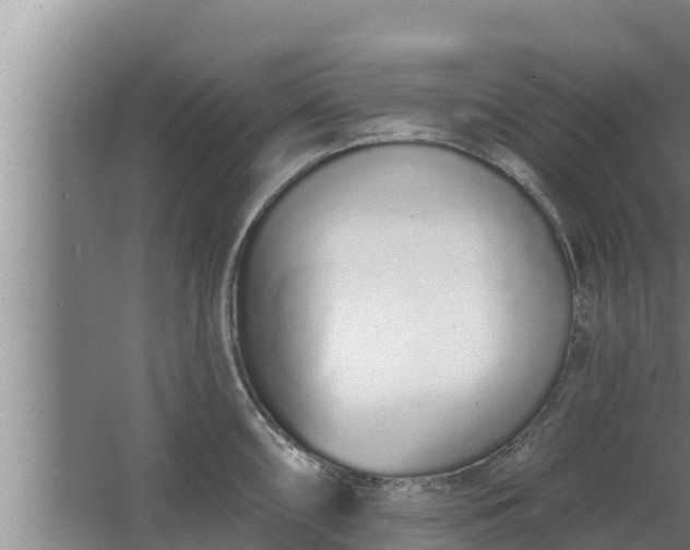 X0000064051098200602031617