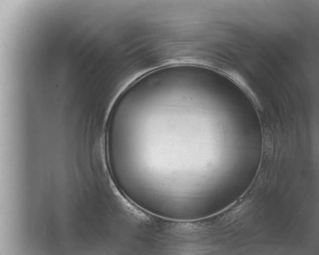 X0000064051100200602031617