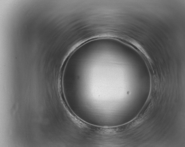 X0000064051101200602031617