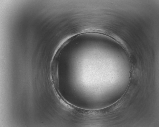 X0000064051102200602031617