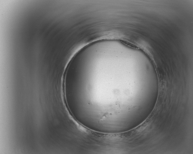 X0000064051103200602031617