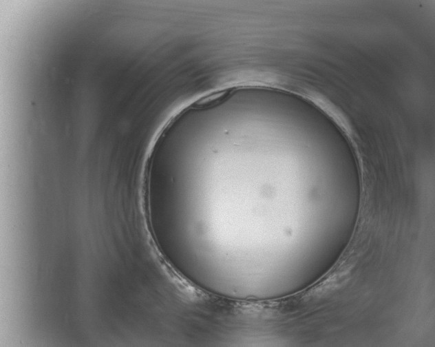 X0000064051104200602031617