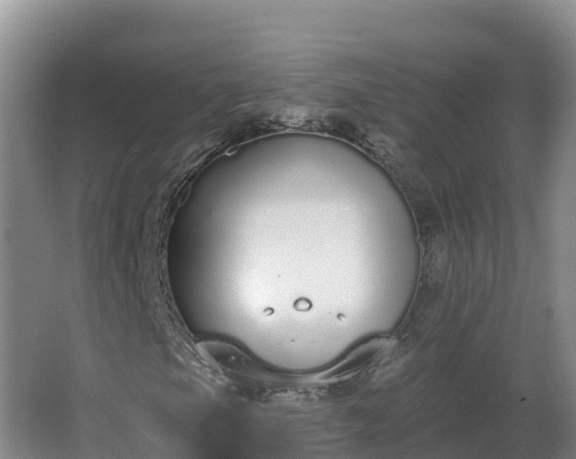 X0000064051105200602031616