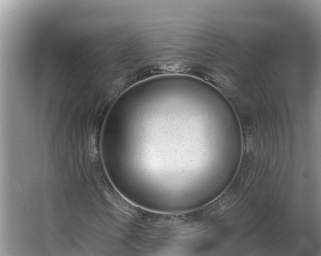 X0000064051106200602031616