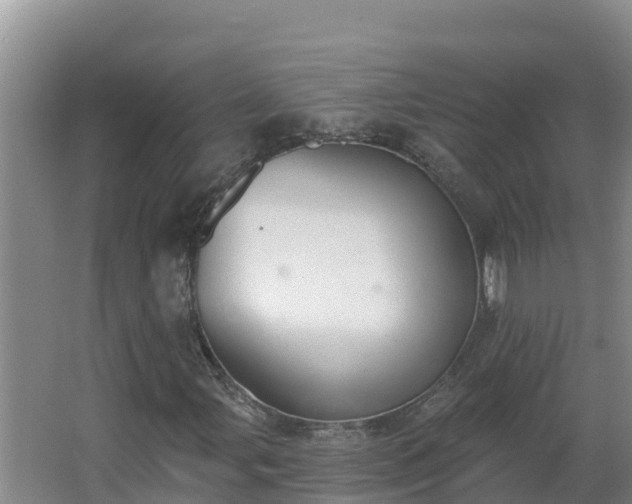 X0000064051107200602031616