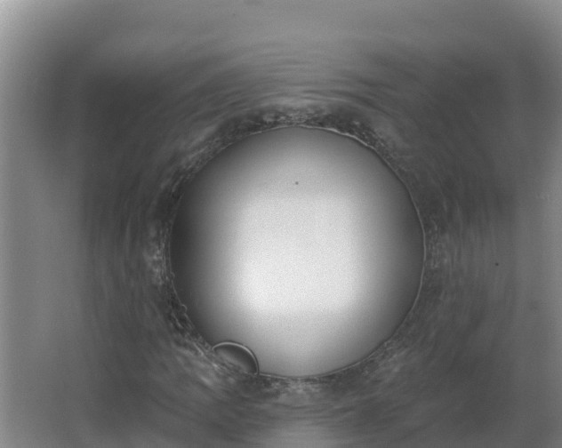 X0000064051109200602031616