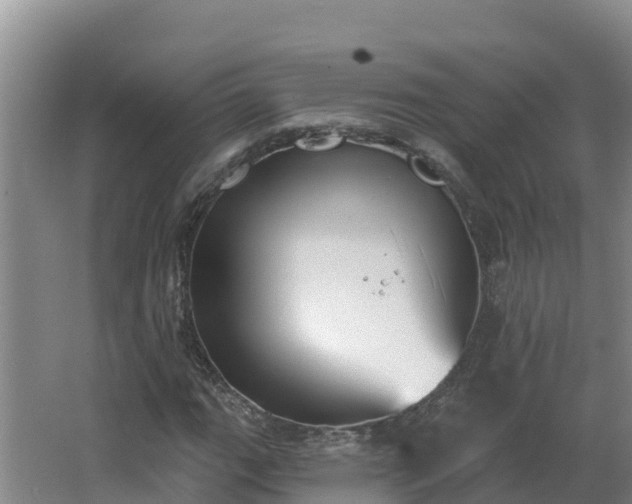 X0000064051111200602031616