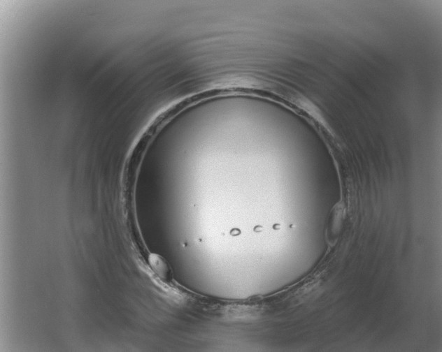 X0000064051116200602031616