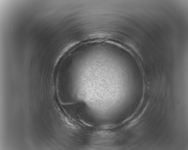 X0000064051117200602031616