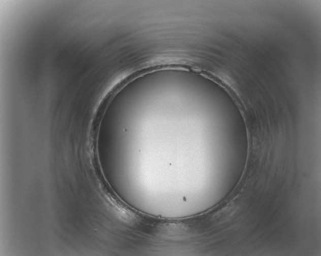 X0000064051119200602031616