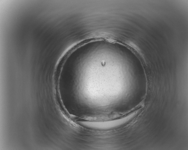 X0000064051120200602031616