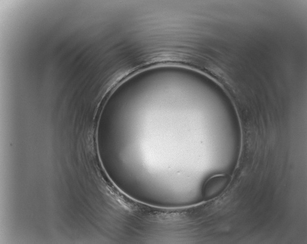 X0000064051121200602031616