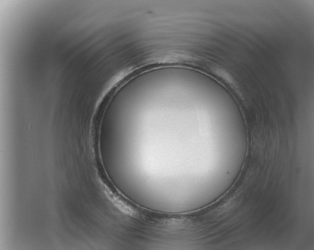 X0000064051122200602031616