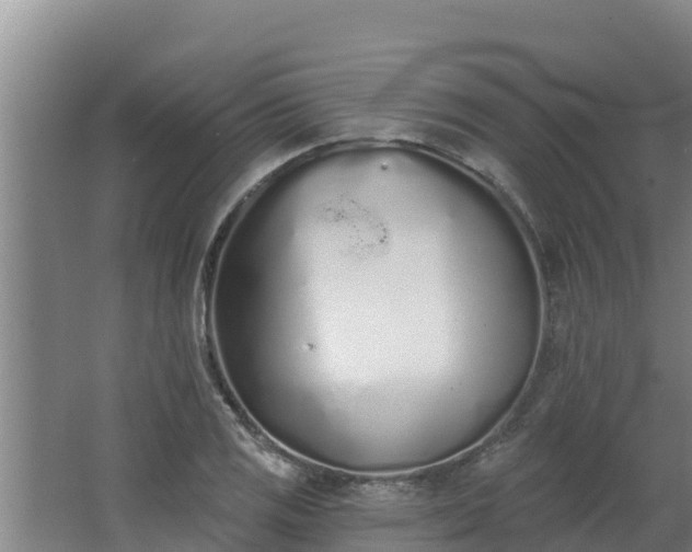 X0000064051125200602031616