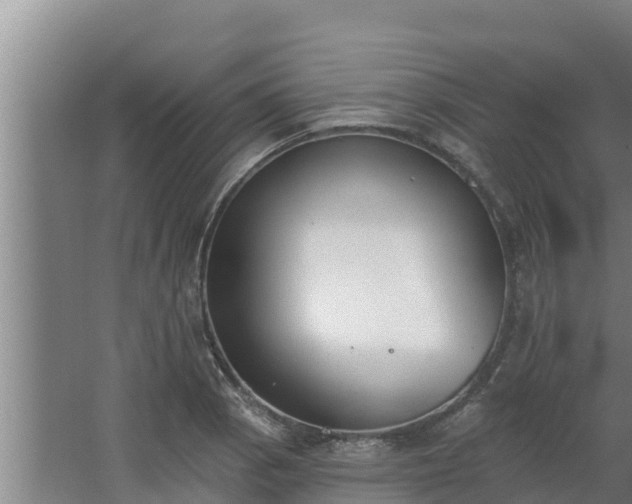 X0000064051129200602031616