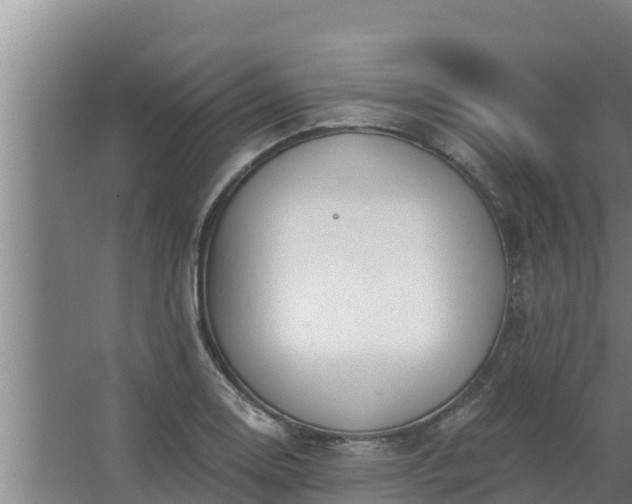 X0000064051130200602031616