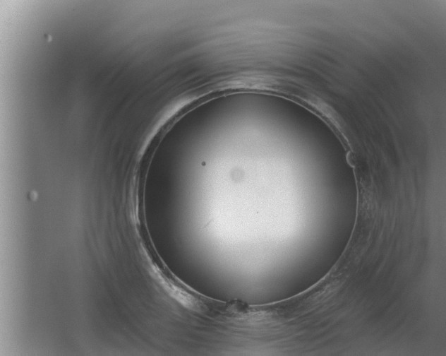 X0000064051131200602031616