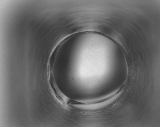 X0000064051132200602031616