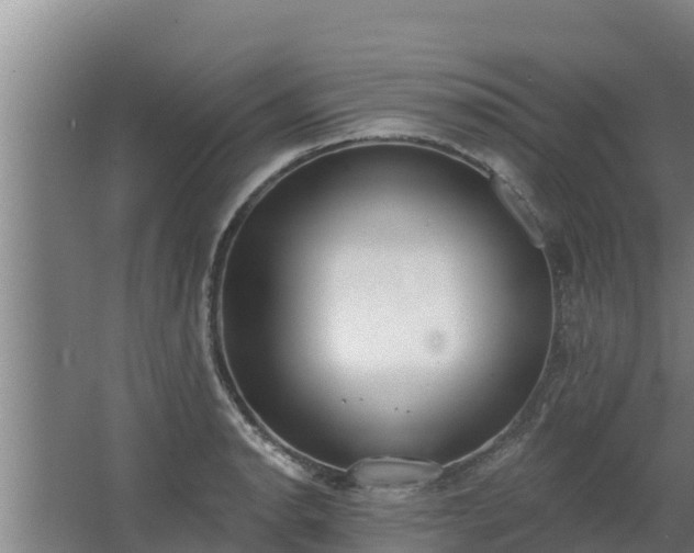 X0000064051134200602031616