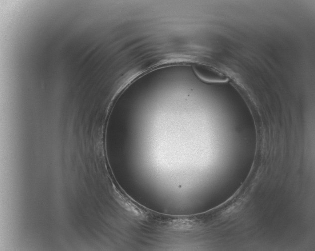 X0000064051137200602031616