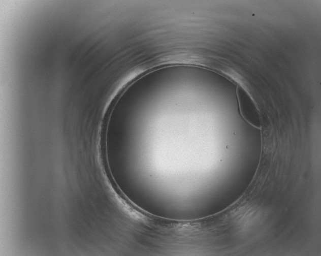 X0000064051139200602031616