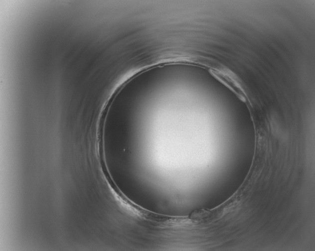 X0000064051143200602031617