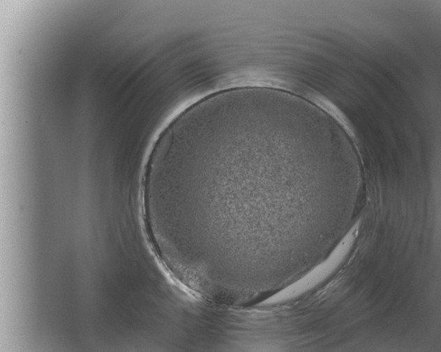 X0000064051144200602031617