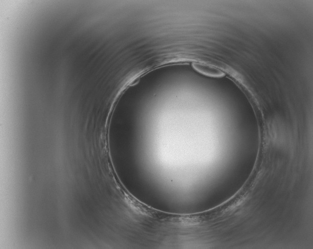 X0000064051145200602031617