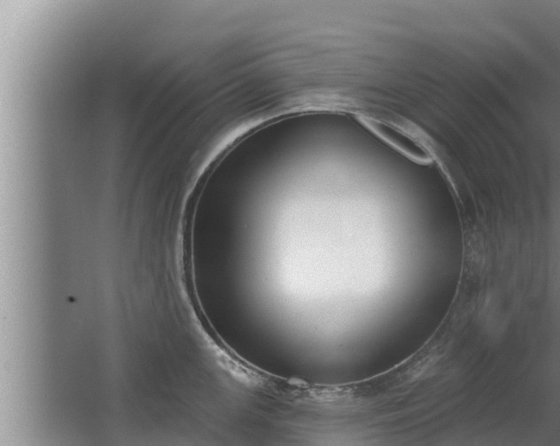 X0000064051147200602031617