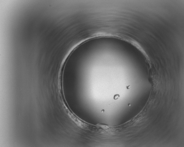 X0000064051148200602031617