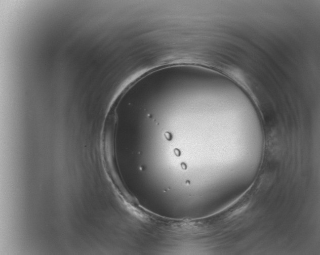 X0000064051149200602031617